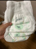 爽然（shinrea）天鵝拉拉褲XL68片超薄男女通用透氣尿不濕【品牌直供 安心品質(zhì)】 曬單實(shí)拍圖