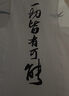 李寧小龍雀競(jìng)速比賽跑步背心25新款男跑步修身彈力比賽上衣AAYV123 曬單實(shí)拍圖