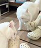 卡駱馳（crocs）經(jīng)典云朵Clog女沙灘洞洞鞋涼拖鞋206750 206750-2Y2  37  曬單實(shí)拍圖
