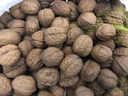 鮮級佳大涼山新鮮濕核桃去青皮嫩核桃老樹薄紙皮核桃孕婦專用生核桃新貨 9斤【去青皮】送夾子丨品質(zhì)升級 曬單實拍圖