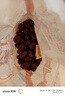 好想你 樹(shù)上糧倉(cāng)三級(jí)免洗紅棗500g/袋  蜜餞果干新疆特產(chǎn)大棗煮粥煲湯 曬單實(shí)拍圖