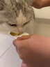 格吾安四季系列主食貓條勺全期全價(jià)蜂蜜慕斯混合口味1盒（15g*12支） 曬單實(shí)拍圖