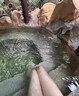 OLOEY上課摸魚(yú)小玩具學(xué)校耍帥神器惡搞玩具上課玩女生男孩水槍噴水玩具 【京自倉發(fā)貨】藍色鯊魚(yú)水槍圓珠筆 整蠱水槍筆玩具緩解焦慮減壓神器 曬單實(shí)拍圖