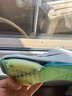 耐克（NIKE）湯普森9秒75新紀錄 田徑精英Nike Maxfly耐克氣墊男女短跑釘鞋 FD8395-102/Maxfly 2代 40 曬單實(shí)拍圖