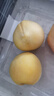 京覓黃桃水果蒙陰桃子新鮮黃金蜜桃 凈重4.5斤 單果120g起 源頭直發(fā) 曬單實(shí)拍圖