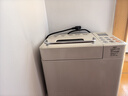 柏翠(petrus)【國家補貼】面包機 烤面包機 揉面和面機 全自動 家用冰淇淋PE8860Y 七夕情人節(jié)送禮 曬單實拍圖
