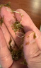 阿一波紫菜100克含調料 福建特產(chǎn) 海產(chǎn)干貨 干壇紫菜湯煲湯蛋花湯食材 曬單實(shí)拍圖