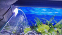 USB魚(yú)缸養魚(yú)超靜音家用增氧泵小型便攜戶(hù)外釣魚(yú)氧氣泵可接充電寶 黑色單管大氣量 曬單實(shí)拍圖