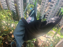 Clarkarida男士內(nèi)褲男莫代爾無痕平角內(nèi)褲大碼透氣石墨烯4條裝冰絲內(nèi)褲男 黑色+寶藍+牛仔藍+灰色 4條 3XL（160-190斤） 曬單實拍圖