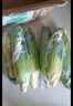 京鮮生云南水果玉米 凈重5斤單果280g+ 甜玉米棒新鮮蔬菜應(yīng)季 源頭直發(fā) 曬單實(shí)拍圖