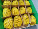 佳沛（zespri）新西蘭 陽光金奇異果12粒禮盒特大果單果約122-146g 獼猴桃 水果 曬單實拍圖
