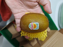 佳沛（zespri）綠奇異果 優(yōu)選大果12粒單果約113-135g  水果禮盒 獼猴桃 曬單實拍圖