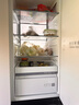 美的（Midea）首創(chuàng)45cm超薄嵌入餐邊柜家用客廳冰箱左餐右廚大容量底部散熱十字四開門國家補貼BCD-427WUSGPZM 曬單實拍圖