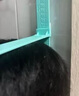十味健長顆粒西南兒童醫(yī)院青少年身高變長骨立高健貼氨基酸蛋白飲 三盒周期裝 【買2贈1】 京東官方店旗艦營大藥房 曬單實拍圖