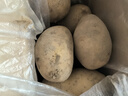 京鮮生 甘肅定西土豆凈重5斤 單果100g+ 沙面黃心馬鈴薯洋芋 源頭直發(fā) 曬單實(shí)拍圖
