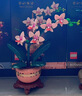樂(lè )高（LEGO）積木拼裝10372 芙蓉男孩女孩玩具生日禮物 曬單實(shí)拍圖