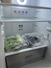 美的（Midea）186雙開(kāi)門(mén)兩門(mén)低音小型節能省電無(wú)霜低溫補償深冷速凍租房宿舍家用小冰箱BCD-186WMA 家電國家補貼 曬單實(shí)拍圖