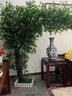 景塵仿真榕樹(shù)假樹(shù)仿真大型植物酒店商場(chǎng)婚禮道具許愿樹(shù)景觀(guān)樹(shù)櫥窗裝飾 【圓形款】高1.8米*寬1.5米 曬單實(shí)拍圖