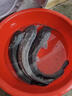 螺肉魚(yú)餌野釣鯽魚(yú)青魚(yú)鯉魚(yú)鯰魚(yú)黑魚(yú)餌料黑坑湖庫螺絲肉顆粒釣魚(yú)食 一瓶裝【鯰魚(yú)專(zhuān)用餌】 曬單實(shí)拍圖