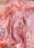 鮮京采 巴西進(jìn)口原切肩部牛肋條 4斤 生鮮牛肉【真原切】源頭直發(fā) 曬單實(shí)拍圖