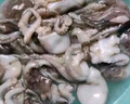 美加佳 三去小章魚凈重1斤（8-13只） 去牙去臟八爪魚 海鮮水產(chǎn) 曬單實拍圖
