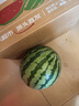 京鮮生 無籽麒麟瓜西瓜 1粒裝 單果5-6斤 水果 源頭直發(fā) 曬單實拍圖