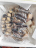 天海藏10參10鮑大盆菜2000g  加熱即食海參鮑魚佛跳墻中秋送禮預(yù)制菜 曬單實(shí)拍圖