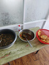 大由大老上海蔥油餅冷凍速食品半成品手抓餅兒童卷餅營(yíng)養煎餅早點(diǎn)早餐 老上海蔥油餅900g/袋（10片裝） 老上海蔥油餅2袋【每袋10片*90g】 曬單實(shí)拍圖