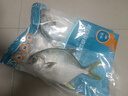 翔泰海南深海金鯧魚(yú)700g 2條 火鍋 生鮮魚(yú)類(lèi) BAP認證 海鮮水產(chǎn) 中秋 曬單實(shí)拍圖