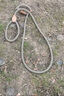 華元寵具（hoopet）狗狗繩子防爆沖P繩狗鏈子牽引繩胸背帶大型小中型犬防掙脫溜遛狗 曬單實(shí)拍圖