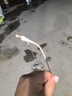 LOHO純鈦近視眼鏡復(fù)古輕奢眼鏡框超輕眼鏡架素顏可配高度數(shù)蔡司鏡片 曬單實拍圖