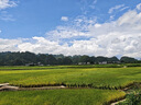 蘭酷帕釣魚(yú)游戲玩具62件套大方池磁力珠戶(hù)外便攜親子互動(dòng)兒童女男孩禮物 曬單實(shí)拍圖