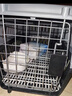 腆寵寵物航空箱小號(hào) 貓咪航空箱貓狗 貓包貓籠外出車載貓箱狗狗托運(yùn) 曬單實(shí)拍圖