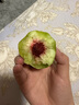 山東新鮮水蜜桃毛桃脆甜多汁現(xiàn)摘軟硬兩吃-華俊 帶箱5斤（凈重4.5斤） 單果150+ 曬單實拍圖