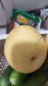 正宗河北皇冠梨產(chǎn)地直發(fā)深澤皇冠梨10 皇冠梨帶箱2斤裝凈重1.6-1.8斤 曬單實(shí)拍圖