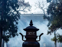 公狼帳篷戶(hù)外防雨過(guò)夜露營(yíng)自動(dòng)速開(kāi)折疊專(zhuān)業(yè)雙層抗風(fēng)防寒加厚野外野營(yíng) 三層2-3人鈦黑膠卡其+雙人8cm拉絲充氣床+電動(dòng)泵 曬單實(shí)拍圖