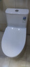 恒潔（HEGII）京東聯(lián)名馬桶S3 家用虹吸新版馬桶513小戶(hù)型坐便器DCF0300PT-305 曬單實(shí)拍圖