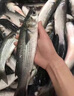川澤升級無結(jié)線組成品主線套裝魚線主線強拉力進口綁好大物釣魚線組 5.4米 【4卷裝】+收納盒+剪刀 2.0號 曬單實拍圖