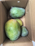 京覓四川凱特芒果新鮮水果凈重8斤單果410g+源頭直發(fā)包郵 曬單實(shí)拍圖