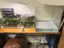 YEE魚缸超白玻璃裸缸客廳小型桌面水草造景觀賞魚烏龜缸3040生態(tài)方缸 【裸方缸】6MM超白玻璃40*40*40cm 曬單實(shí)拍圖