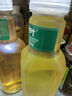 農(nóng)夫山泉 東方樹葉綠茶500ml*15瓶無糖茶飲料0糖0脂0卡整箱裝夏天解渴飲品 曬單實(shí)拍圖