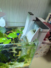 森森 魚缸壁掛式過濾器瀑布過濾三合一過濾水泵XBA200 2W 曬單實(shí)拍圖