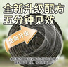 Chrejohy 基孔肯雅熱蒼蠅香蚊香飯店專用強力滅蠅香家用餐廳20盤+1接灰盤 曬單實拍圖