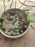 九千谷水仙花盆大號(hào) 陶瓷無(wú)孔圓形水培容器銅錢(qián)草碗蓮山水款約19cm5846 曬單實(shí)拍圖