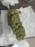 青櫻紅荔【順豐直達】貴州水晶葡萄新鮮青葡萄農家時(shí)令孕婦水果綠提子端午 精選 2斤【實(shí)惠裝】 (安全氣柱包裝-順豐送貨上門(mén)) 曬單實(shí)拍圖