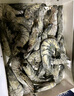 鮮京采 鮮凍大號黑虎蝦 去冰凈重2斤 31-40只/盒 斑節(jié)對蝦 曬單實拍圖