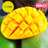 京鮮生 攀枝花凱特芒 凈重8.5斤 帶箱9斤 單果600g+ 生鮮水果 源頭直發(fā) 曬單實拍圖