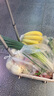 得力（deli）超市手推車購(gòu)物車手買菜手拉車露營(yíng)拉桿行李車買菜拖車折疊 曬單實(shí)拍圖