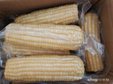 京鮮生東北白糯玉米250g*10棒 新鮮甜糯玉米棒真空包裝粘玉米 源頭直發(fā) 曬單實(shí)拍圖