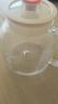 WIFER德國養(yǎng)生壺全玻璃燒水壺辦公室迷你煮茶器燉煮一體煮茶壺家用花茶壺小型恒溫壺0膠水養(yǎng)身電熱水壺 全玻璃0膠水0金屬丨8H恒溫丨24H預(yù)約 1.2L 嬰幼兒沖奶調(diào)奶器智能保溫 曬單實拍圖